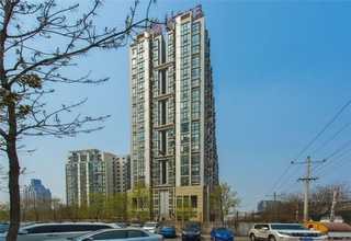 重庆正规的新西兰辐射松木材供应